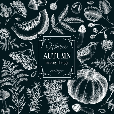 Vintage autumn frame design. Thanksgiving background. Fall leaves, pumpkins, berries, mushrooms sketches on chalkboard. Hand-drawn vector illustration. NOT AI generated